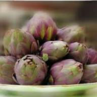 Carciofi alla Romana